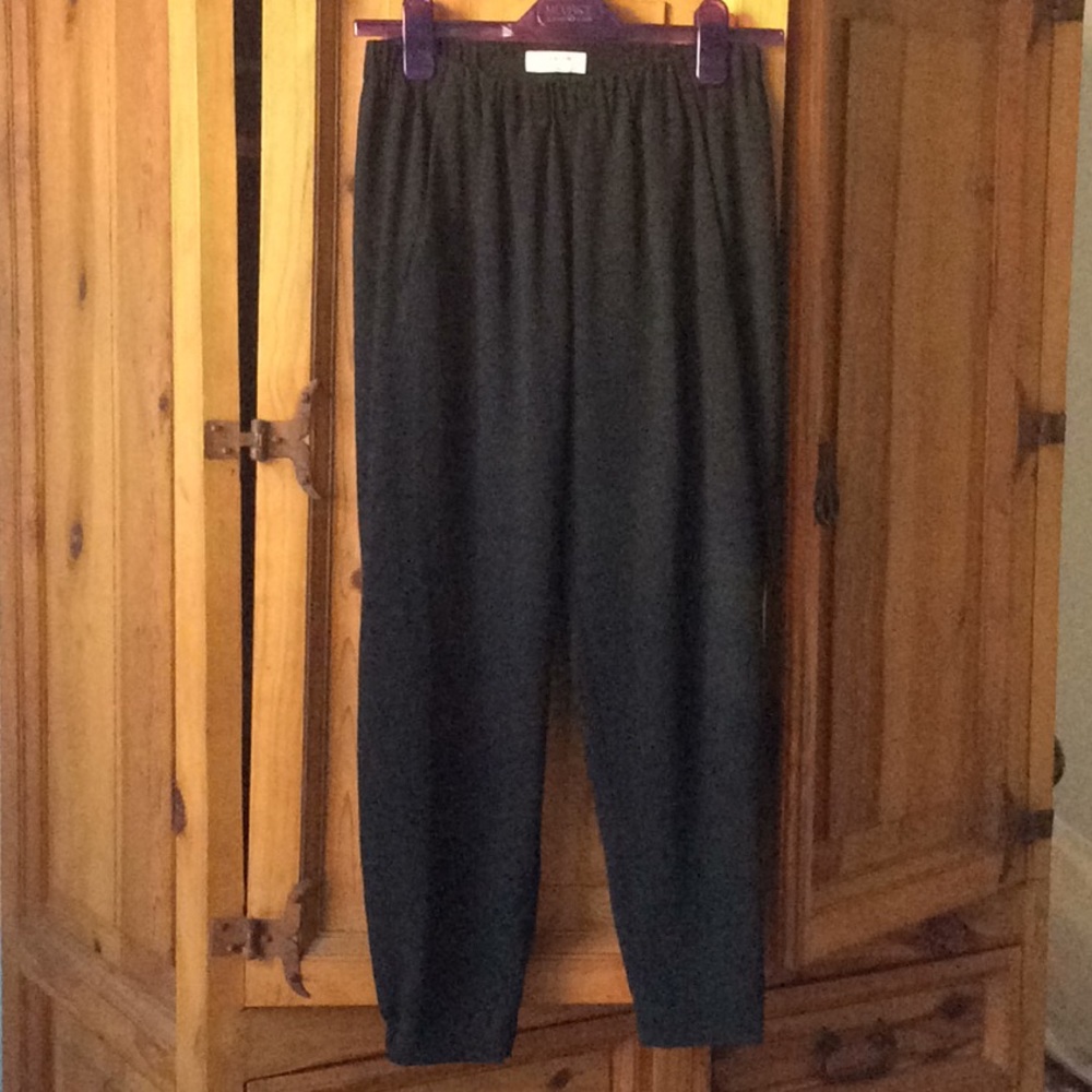 Aritzia Dexter Pants